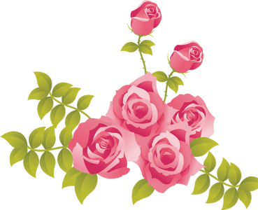 Pink Roses Bouquet Floral Vector Free PNG