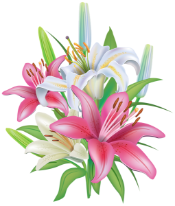 Pink And White Lilies Bouquet Free PNG
