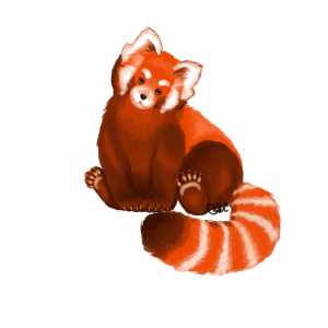 Cute Red Panda Drawing Free Clipart