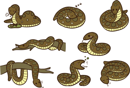 Cute Cartoon Snake Character Set PNG Image