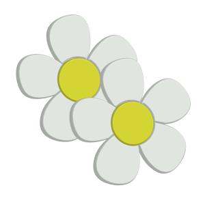 Two Simple 3D Daisy Flowers Transparent Background