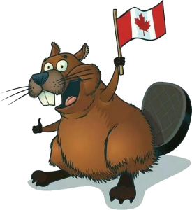 Cartoon Beaver With Canadian Flag Free Clipart
