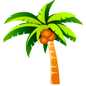 Cartoon coconut trees, coconut tree, coconuts PNG Image File Free Download – Clickpng