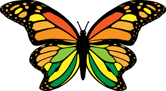 Monarch Butterfly Orange Wings PNG Image