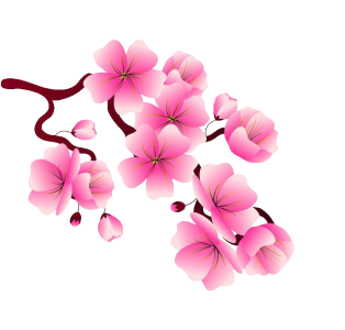 Pink Cherry Blossom Branch Clipart