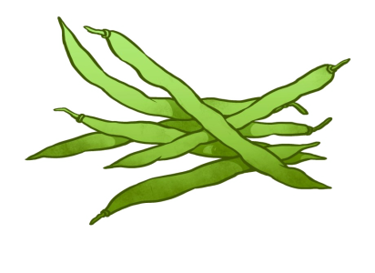 Fresh Green Beans Clipart