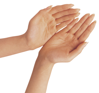 Two Open Cupped Hands Free PNG