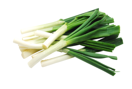 Fresh Spring Onions Scallions Clipart