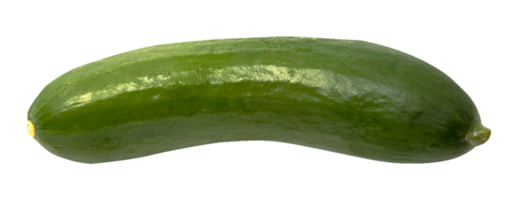 Organic Fresh Green Cucumber Transparent Background