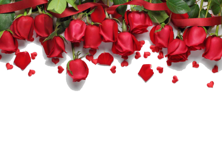 Love song Romance, Red roses background, love, wedding, heart PNG Image File Free Download – Clickpng