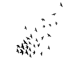 Flying Birds Silhouette PNG – Elegant & Minimal Transparent Images