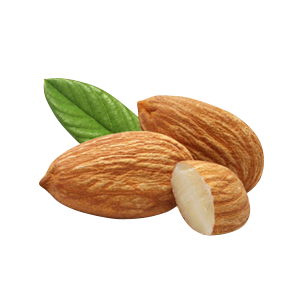 Almond PNG – Healthy Nut Snack png