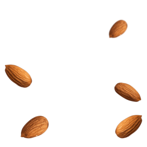 Almond PNG – Healthy Nut Snack png