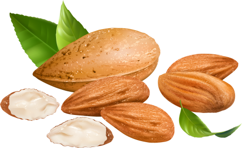 Almond PNG – Healthy Nut Snack png