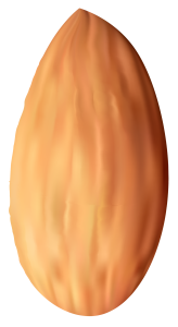 Almond PNG – Healthy Nut Snack png
