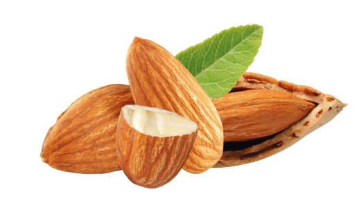 Almond PNG – Healthy Nut Snack png