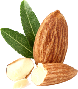 Almond PNG – Healthy Nut Snack png