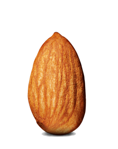 Almond PNG – Healthy Nut Snack png