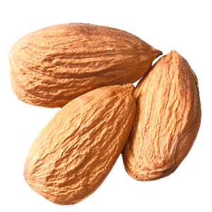 Almond PNG – Healthy Nut Snack png