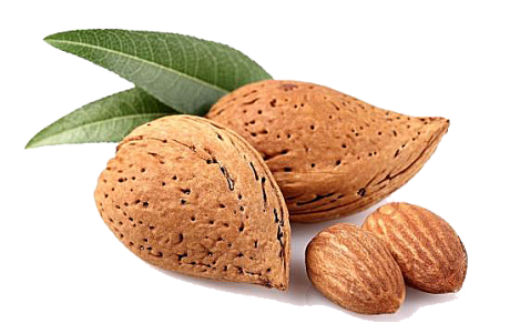 Almond PNG – Healthy Nut Snack png