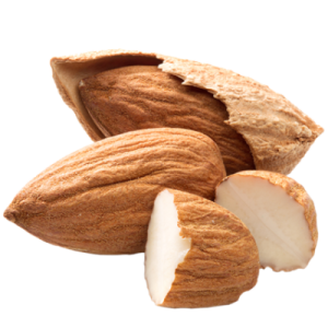 Almond PNG – Healthy Nut Snack png