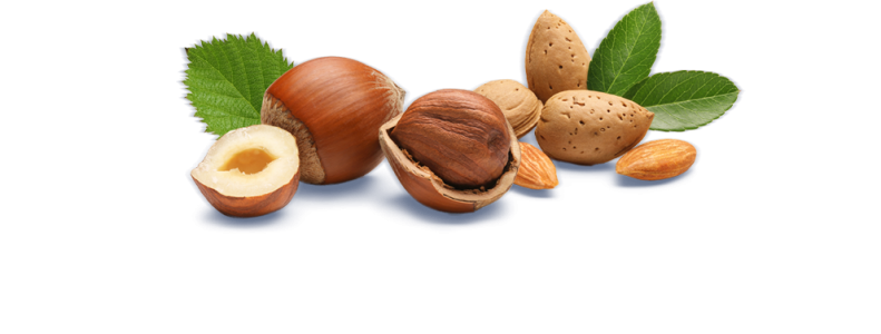 Almond PNG – Healthy Nut Snack png