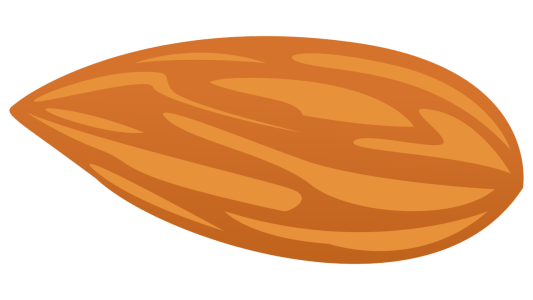 Almond Nut PNG – Transparent Background png