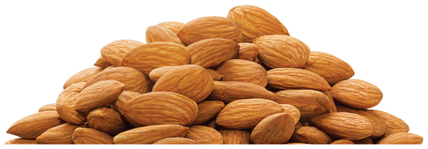 Almond Nut PNG – Transparent Background png