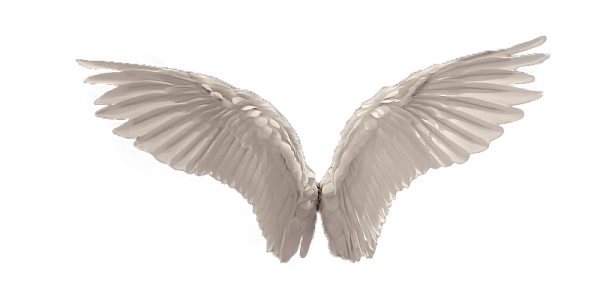 Angel Wings PNG – Transparent Background