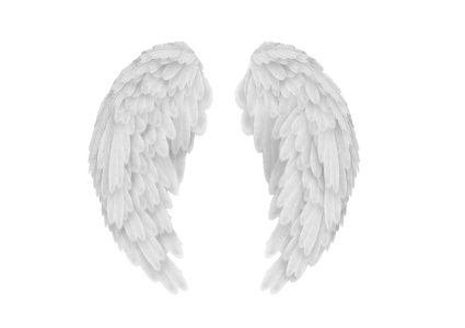 Angel Wings PNG – Transparent Background