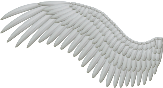 Angel Wings PNG – Transparent Background