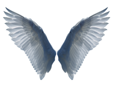Angel Wings PNG – Transparent Background