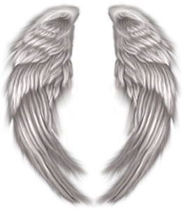 Angel Wings PNG – Transparent Background