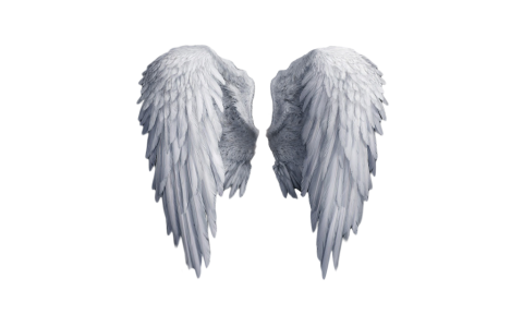 Angel Wings PNG – Transparent Background