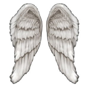 Beautiful Angel Wings PNG Clipart