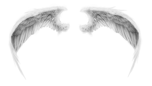 Beautiful Angel Wings PNG Clipart