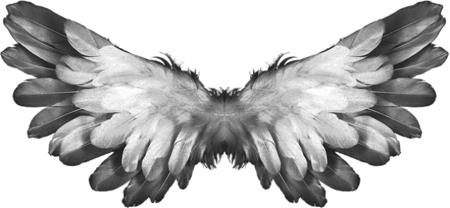 Beautiful Angel Wings PNG Clipart