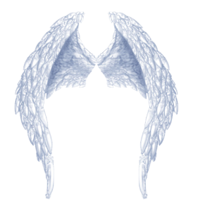 Beautiful Angel Wings PNG Clipart