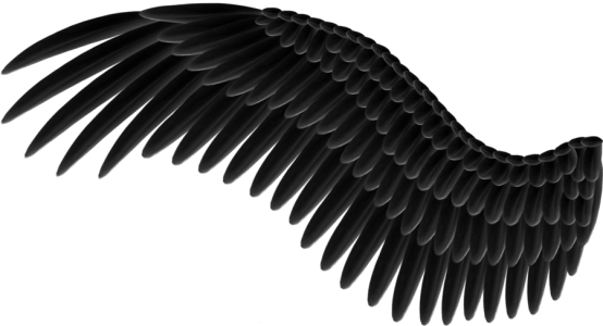 Beautiful Angel Wings PNG Clipart
