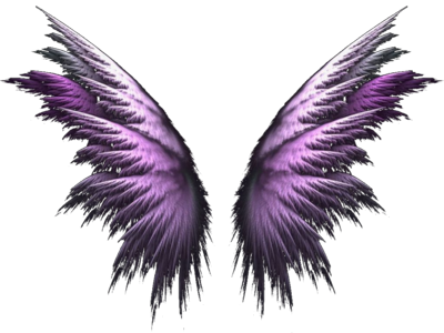 Beautiful Angel Wings PNG Clipart