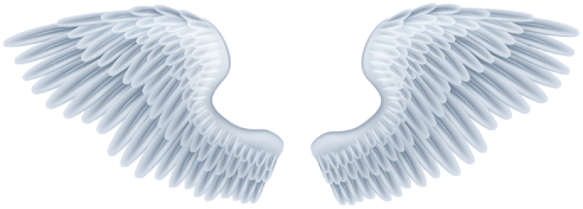 Beautiful Angel Wings PNG Clipart