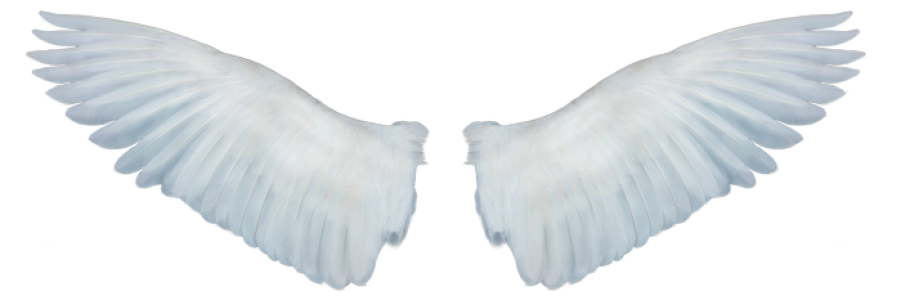 Beautiful Angel Wings PNG Clipart