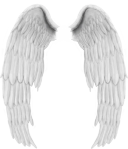 Beautiful Angel Wings PNG Clipart