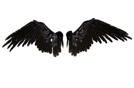 Beautiful Angel Wings PNG Clipart
