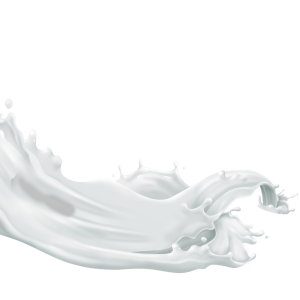 Milk Splash, milk splash illustration, white, color Splash, Cow's milk PNG Image File Free Download – Clickpng
