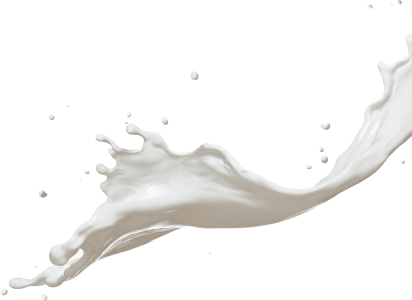 Dairy Products Splash, milk splash, white liquid illustration, food PNG Image File Free Download – Clickpng