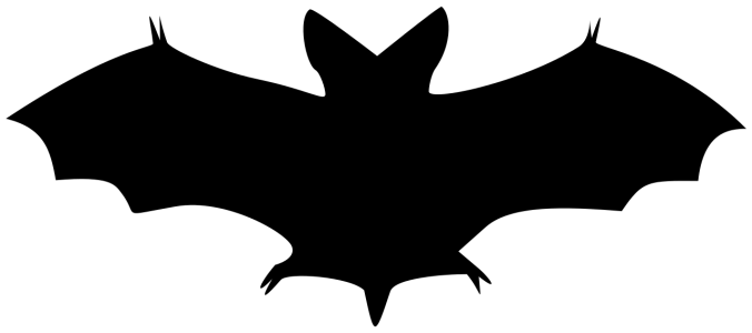 Halloween Bat PNG – Transparent Background