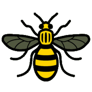 Bee PNG – Transparent Insect Illustration