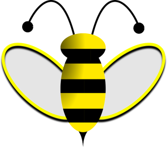 Bee PNG – Transparent Insect Illustration