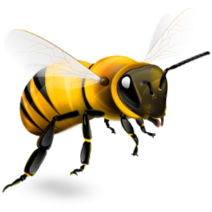 Bee PNG – Transparent Insect Illustration